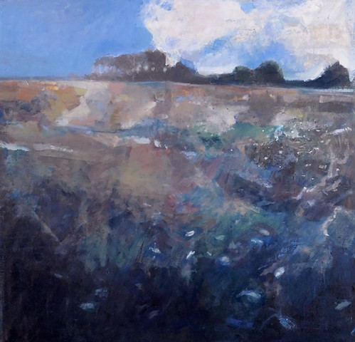 "Evening Sky and Field"