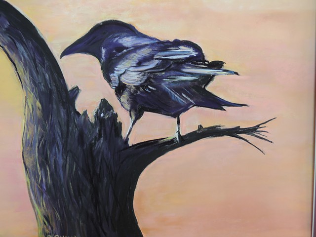 birds ravens