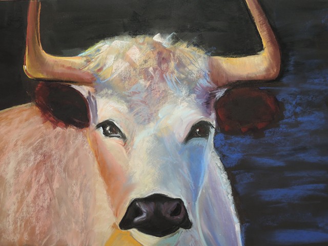 Animas Valley Cow
