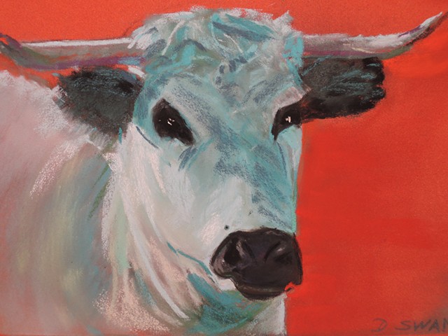 bovine art