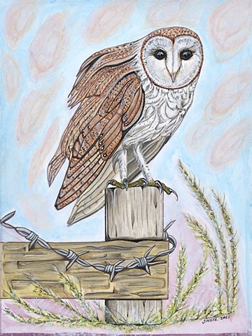 barn owl, barbed wire fence, bird paintings, owl artwork