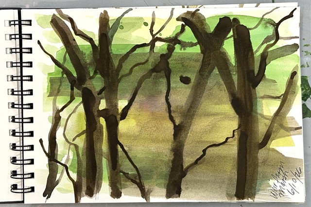 Weir Farm - Untitled 7
