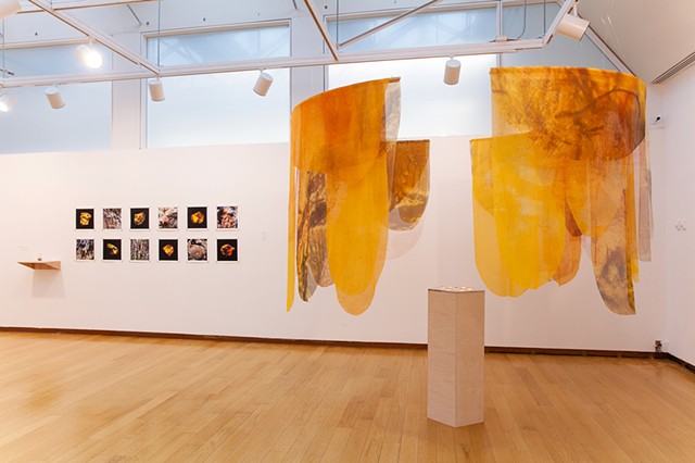 The Treasures We Seek (Installation View)