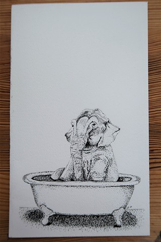 Elephant in Tub