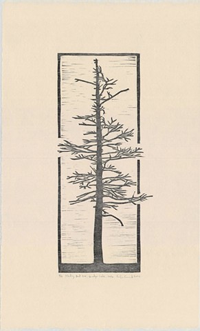 Standing dead tree, Quadga Lake, 2020