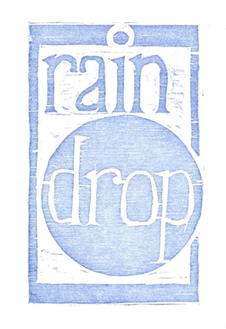rain drop cover