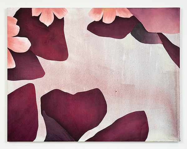 over and through oxalis, 2