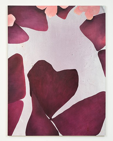 over and through oxalis, 1