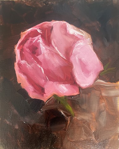 Peony Study