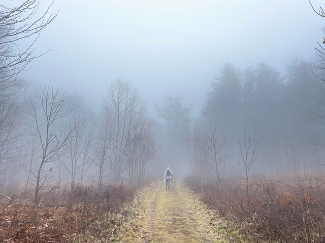 Deb on a trail