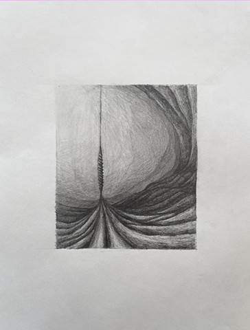 Untitled (Extraction Drawings)