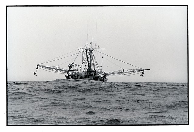 Off Cape May, 1982