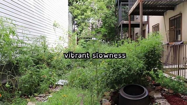 A video still shows a lush green backyard garden thriving in between the backs of apartment buildings, white horizontal panels to the left and metal railing and balconies to the right. A caption with a black outline around white text in the middle of the 