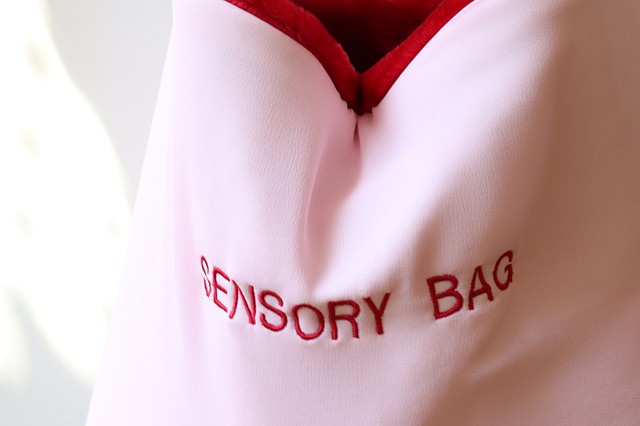 A close up shows the red machine embroidery on the delicate pink sheer fabric of the sensory bag. It reads “SENSORY BAG” in all caps and the embroidery matches the bag’s fuzzy red lining. Sunlight shines onto the bag from the left. 