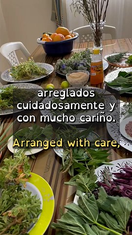 Arranged with Care (Spanish audio)