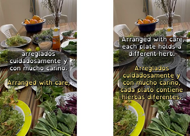 A combined video still of the same image from both monitors, one with audio in English and the other in Spanish. Over a dozen plates have been placed on a dinning room table covered with a brown striped Ecuadorian tablecloth. Arranged with care, each plat