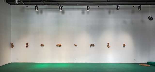 A wide shot of a long white wall and green floor. Spotlights above shine onto 8 pieces of burl wood mounted on the wall. The leftmost piece is placed in the corner, and another larger piece of piece burl is placed flat on the floor to the right of the bur