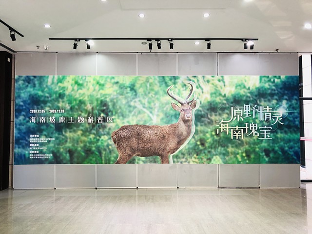 Hainan Eld's Deer Educational Exhibition, Haikou, Hainan, China