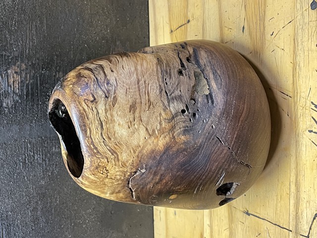 Black walnut Burl form 