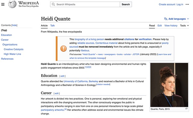 About Heidi Quante, Bay Area Interdisciplinary Artist & Arts Fundraiser. Member of the Cycladic Arts Advisory Committee.