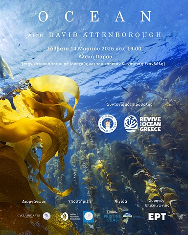 Screenings in our katoikia (March 2026)