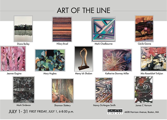 Curating Art of the Line at SoWA's Galatea Fine Arts