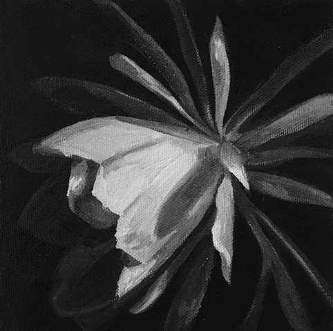 Night Bloom 2 (black & white)