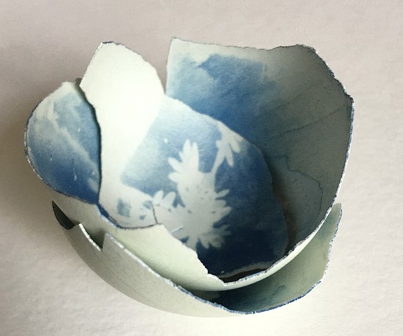 Cyanotype on Eggshell