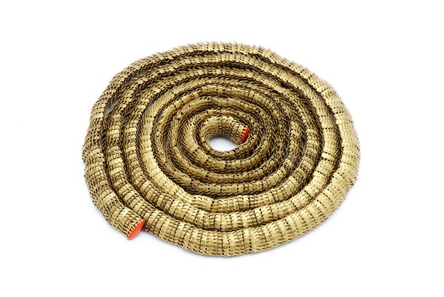 Elongated Serpent Slice