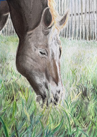 Custom Equine Art