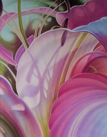 Original painting of translucent pink lily by Canadian artist Michael Savage