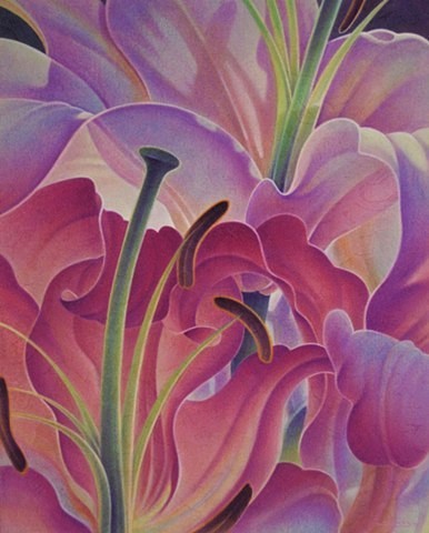 Original painting of closeup of two pink lillies by Canadian artist Michael Savage