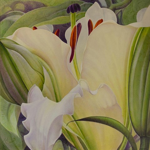 Michael Savage Fine Art Studio