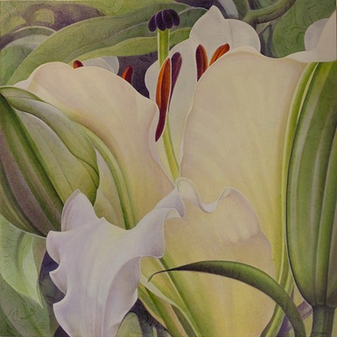 Michael Savage Fine Art Studio