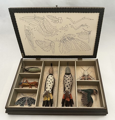 Wunderkammer/Wings