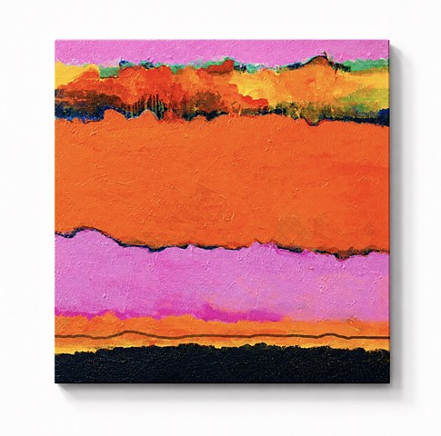 “Myakka Orange”