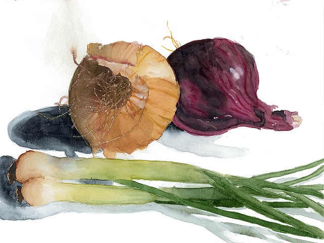 Watercolor painting of a golden onion, purple onion, and scallions