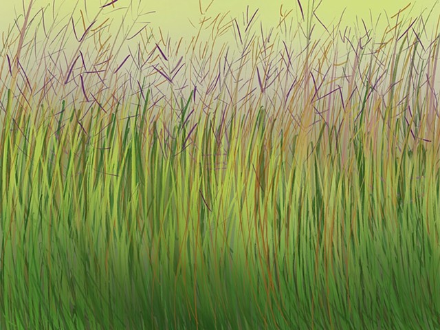 Memory Drawing- Fall Grass I hope they never cut it / Pieces