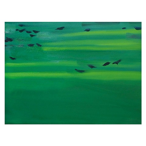 Grackles on a Soccer Field