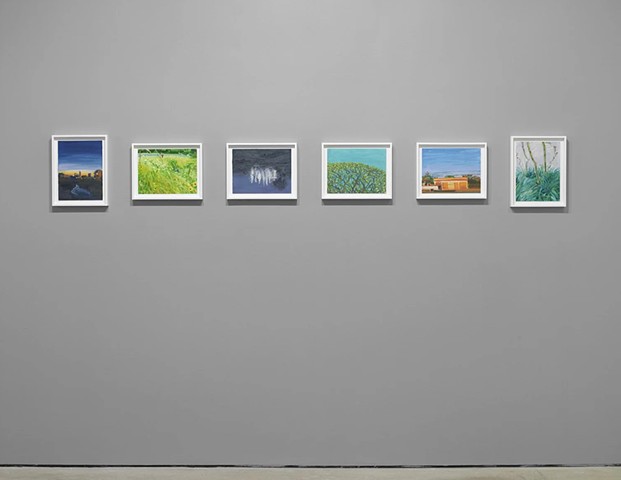 Exhibition View- Survival Moments, Hunter Dunbar Projects 