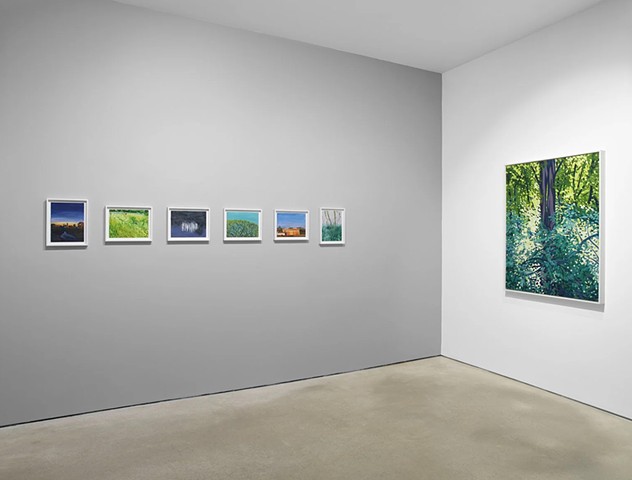 Exhibition View- Survival Moments, Hunter Dunbar Projects 