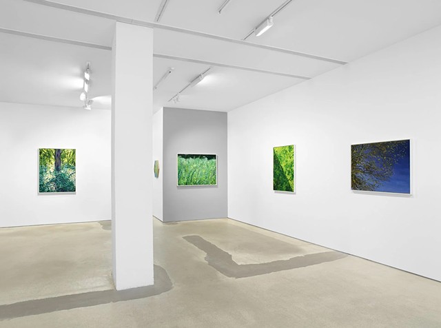Exhibition View- Survival Moments, Hunter Dunbar Projects 