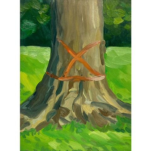 Study-Marked Dying Tree