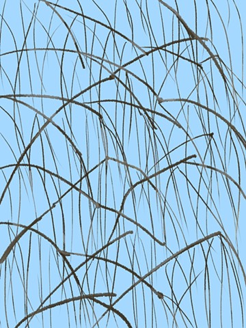 Memory Drawing- Weeping Willow branches in winter