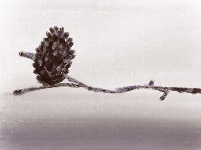 Pinecone