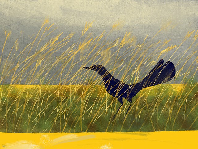 Memory Drawing- Grackle in Tall Grass