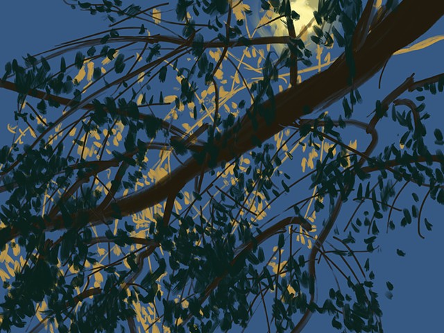 Memory Drawing- Street Light Leaves