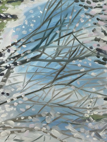 Branches Reflected in a Puddle