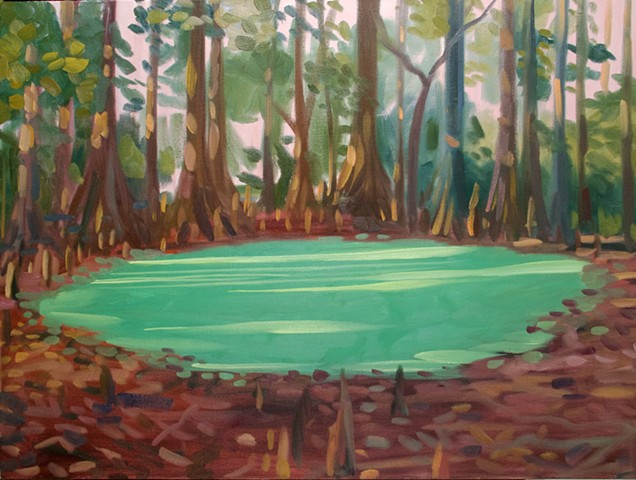 Almost Dried Cypress Swamp