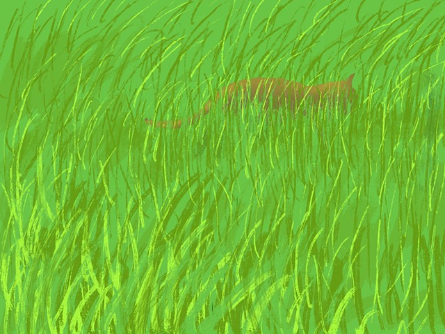 Memory Drawing- Cat in Tall Grass